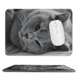 yanfind The Mouse Pad Young Kitty Pet British Funny Shorthair Kitten Tabby Cute Thoroughbred Sleepy Adorable Pattern Design Stitched Edges Suitable for home office game