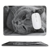 yanfind The Mouse Pad Young Kitty Pet British Funny Shorthair Kitten Tabby Cute Thoroughbred Sleepy Adorable Pattern Design Stitched Edges Suitable for home office game