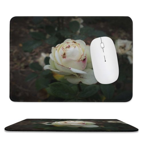 yanfind The Mouse Pad Wallpapers Flower PNG Autumn Rose Plant Blossom Grey Images Pattern Design Stitched Edges Suitable for home office game
