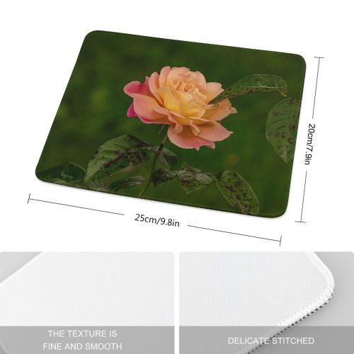 yanfind The Mouse Pad Free Flower Petal Rose Plant Blossom Luton Acanthaceae Uk Images Leaf Pattern Design Stitched Edges Suitable for home office game