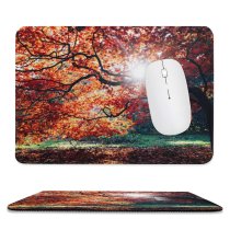 yanfind The Mouse Pad Dan Freeman Autumn Fall Maple Tree Foliage Sunlight Westonbirt National Arboretum England Pattern Design Stitched Edges Suitable for home office game