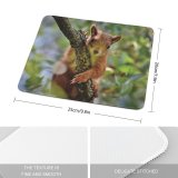 yanfind The Mouse Pad Blur Fur Focus Whiskers Squirrel Field Perched Rodent Shallow Branch Furry Wildlife Pattern Design Stitched Edges Suitable for home office game