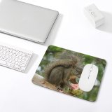 yanfind The Mouse Pad Esquilo Vertebrate Tail Squirrel Fox Organism Squirrel Com Whiskers Wildlife Snout Rodent Pattern Design Stitched Edges Suitable for home office game