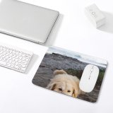 yanfind The Mouse Pad Dog Pet Kerala Pictures Trivandrum India Domain Golden Images Public Pattern Design Stitched Edges Suitable for home office game