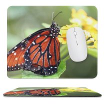 yanfind The Mouse Pad Cacoon Moths Viceroy Footed Flower Monarch Insect Pollinator Floral Monarch Invertebrate Butterfly Pattern Design Stitched Edges Suitable for home office game
