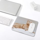 yanfind The Mouse Pad Funny Curiosity Sit Cute Little Young Eye Studio Portrait Family Kitten Whisker Pattern Design Stitched Edges Suitable for home office game