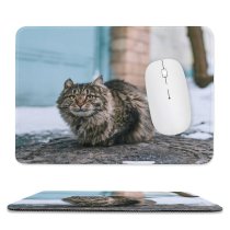 yanfind The Mouse Pad Funny Curiosity Outdoors Cute Young Eye Portrait Kitten Whisker Wildlife Pattern Design Stitched Edges Suitable for home office game