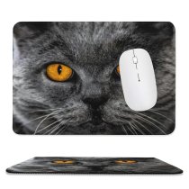 yanfind The Mouse Pad Young Grey Pet Kitten Portrait Tabby Whiskers Cute Adorable Staring Cat Fur Pattern Design Stitched Edges Suitable for home office game
