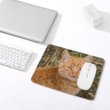 yanfind The Mouse Pad Funny Curiosity Outdoors Little Eye Staring Grass Whisker Downy Portrait Pattern Design Stitched Edges Suitable for home office game
