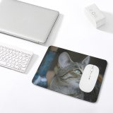 yanfind The Mouse Pad Abyssinian Free Snake Cat France Stock Reptile Wallpapers Images Pictures Pet Pattern Design Stitched Edges Suitable for home office game