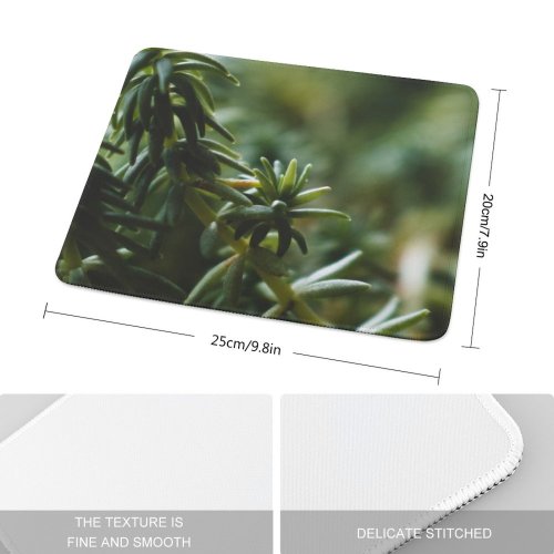 yanfind The Mouse Pad Abies Plant Pictures PNG Grey Tree Fir Succulent Bokeh Yew Conifer Pattern Design Stitched Edges Suitable for home office game
