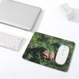 yanfind The Mouse Pad Abies Tree Pine Cone Plant Fir Larch Free Fall Yew Insect Pattern Design Stitched Edges Suitable for home office game