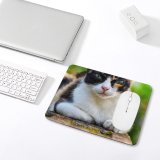 yanfind The Mouse Pad Pet Kitten Portrait Curiosity Cute Adorable Staring Furry Sit Cat Eye Whisker Pattern Design Stitched Edges Suitable for home office game