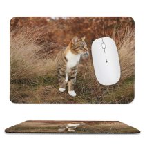 yanfind The Mouse Pad Young Grass Pet Wild Outdoors Kitten Portrait Tabby Wildlife Cute Little Face Pattern Design Stitched Edges Suitable for home office game