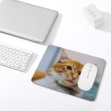 yanfind The Mouse Pad Funny Curiosity Sit Little Young Eye Staring Kitten Whisker Downy Fur Portrait Pattern Design Stitched Edges Suitable for home office game