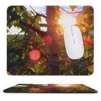 yanfind The Mouse Pad Flare Sunlight Lakeshore Leaf Sky Plant Tree Lens Branch Botany Light Plant Pattern Design Stitched Edges Suitable for home office game