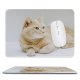 yanfind The Mouse Pad Funny Curiosity Sit Cute Baby Young Little Eye Kitten Whisker Fur Portrait Pattern Design Stitched Edges Suitable for home office game