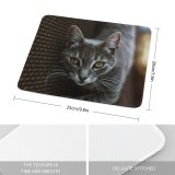 yanfind The Mouse Pad Abyssinian Kitten Cat Wallpapers Manx Creative Images Eye Pictures Face Tabby Pattern Design Stitched Edges Suitable for home office game