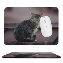 yanfind The Mouse Pad Funny Curiosity Cute Cat Little Eye Portrait Kitten Grey Pet Whisker Fur Pattern Design Stitched Edges Suitable for home office game