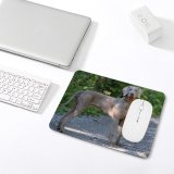yanfind The Mouse Pad Dog Pet Wallpapers Pictures Pointer Hound Grey Creative Images Commons Pattern Design Stitched Edges Suitable for home office game