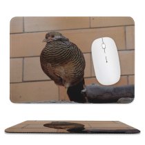 yanfind The Mouse Pad Birdwatching Beak Field Alive Grass Cool Life Afraid Gobbler Falcon Falconiformes Galliformes Pattern Design Stitched Edges Suitable for home office game