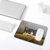 yanfind The Mouse Pad Paws Cat Tabby Kitten Pet Pattern Design Stitched Edges Suitable for home office game