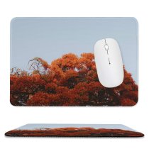 yanfind The Mouse Pad Free Jalisco Pictures Guadalajara Maple Plant Tree Images Mexico Colorful Pattern Design Stitched Edges Suitable for home office game