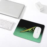 yanfind The Mouse Pad Bugs Grasshopper Invertebrate Mantis Cricket Like Insects Praying Preying Insect Mantis Insect Pattern Design Stitched Edges Suitable for home office game