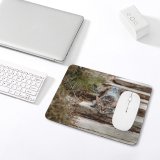 yanfind The Mouse Pad Plant Harmony Care Countryside Grass Kitty Pet Relax Friendship Peace Outdoors Leisure Pattern Design Stitched Edges Suitable for home office game