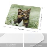 yanfind The Mouse Pad Young Kitty Outdoors Felidae Kitten Tabby Whiskers Wildlife Field Focus Little Blur Pattern Design Stitched Edges Suitable for home office game