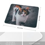 yanfind The Mouse Pad Funny Curiosity Outdoors Cute Baby Young Little Eye Kitten Whisker Fur Portrait Pattern Design Stitched Edges Suitable for home office game