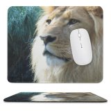 yanfind The Mouse Pad Cats Masai Felidae Mane King Lion Mammals Terrestrial Jungle Lion Wildlife Big Pattern Design Stitched Edges Suitable for home office game