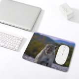 yanfind The Mouse Pad Blur Fur Monkey Focus Macaque Field Ape Shallow Primate Furry Wildlife Depth Pattern Design Stitched Edges Suitable for home office game