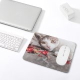 yanfind The Mouse Pad Young Kitty Grey Pet Funny Outdoors Street Fall Kitten Portrait Whiskers Cute Pattern Design Stitched Edges Suitable for home office game