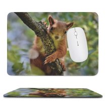 yanfind The Mouse Pad Blur Fur Focus Whiskers Squirrel Field Perched Rodent Shallow Branch Furry Wildlife Pattern Design Stitched Edges Suitable for home office game