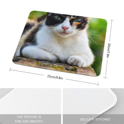 yanfind The Mouse Pad Pet Kitten Portrait Curiosity Cute Adorable Staring Furry Sit Cat Eye Whisker Pattern Design Stitched Edges Suitable for home office game