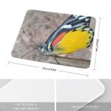 yanfind The Mouse Pad Wallpapers Images Free Monarch Birds Broken Insect Pictures Invertebrate Wing Butterfly Pattern Design Stitched Edges Suitable for home office game