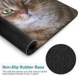 yanfind The Mouse Pad Young Grey Pet Funny Kitten Portrait Tabby Cute Little Sleep Cat Eye Pattern Design Stitched Edges Suitable for home office game