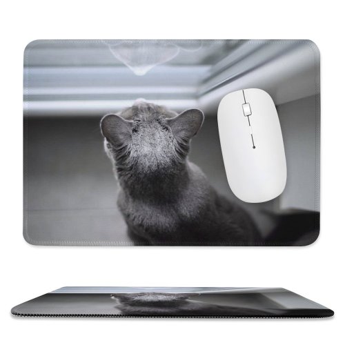 yanfind The Mouse Pad Pet Top Felidae From Shot High Furry Above Window Cat Mirror Fur Pattern Design Stitched Edges Suitable for home office game