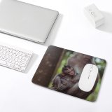 yanfind The Mouse Pad Ape Orangutan Tree Blur Ubud Wildlife Free Monkey Jungle Family Stock Pattern Design Stitched Edges Suitable for home office game