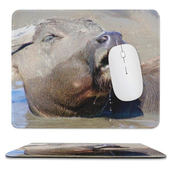 yanfind The Mouse Pad Wild Life Tiger Zebra Safari Vertebrate Snout Terrestrial Nose Wildlife Mouth Working Pattern Design Stitched Edges Suitable for home office game