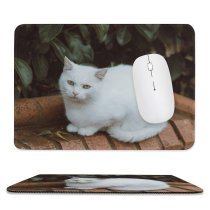 yanfind The Mouse Pad Funny Curiosity Outdoors Sit Cute Cat Eye Portrait Staring Kitten Pet Fur Pattern Design Stitched Edges Suitable for home office game