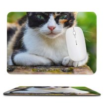 yanfind The Mouse Pad Pet Kitten Portrait Curiosity Cute Adorable Staring Furry Sit Cat Eye Whisker Pattern Design Stitched Edges Suitable for home office game