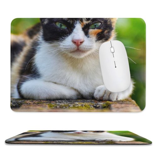 yanfind The Mouse Pad Pet Kitten Portrait Curiosity Cute Adorable Staring Furry Sit Cat Eye Whisker Pattern Design Stitched Edges Suitable for home office game