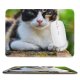 yanfind The Mouse Pad Pet Kitten Portrait Curiosity Cute Adorable Staring Furry Sit Cat Eye Whisker Pattern Design Stitched Edges Suitable for home office game