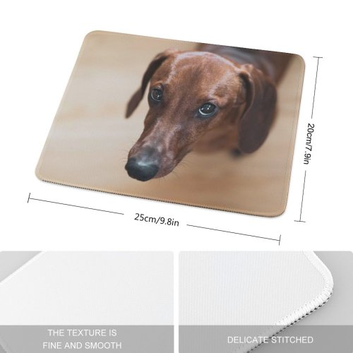 yanfind The Mouse Pad Dog Pet Wallpapers Free Pictures Wood Hound Grey Images Snout Beagle Pattern Design Stitched Edges Suitable for home office game