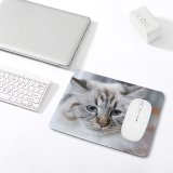 yanfind The Mouse Pad Young Grey Pet Funny Kitten Portrait Cute Little Adorable Staring Cat Eye Pattern Design Stitched Edges Suitable for home office game