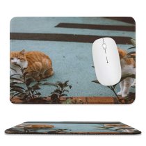 yanfind The Mouse Pad Funny Curiosity Sit Cute Cat Young Little Eye Portrait Staring Kitten Pet Pattern Design Stitched Edges Suitable for home office game
