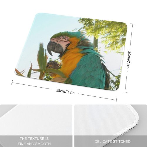 yanfind The Mouse Pad Claw Peak Macaw Beak Fauna Parrot Fly Adaptation Predator Life Feathers Peacock Pattern Design Stitched Edges Suitable for home office game