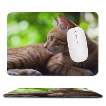 yanfind The Mouse Pad Funny Curiosity Sit Cute Sleep Cat Young Little Eye Portrait Pet Whisker Pattern Design Stitched Edges Suitable for home office game